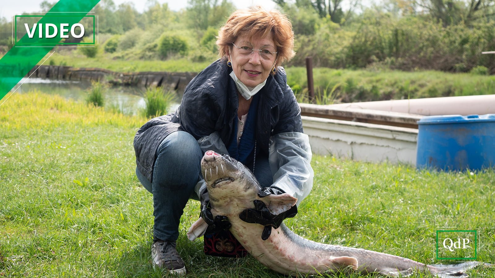 Il parco naturale del fiume Sile è la culla del caviale Made in Veneto