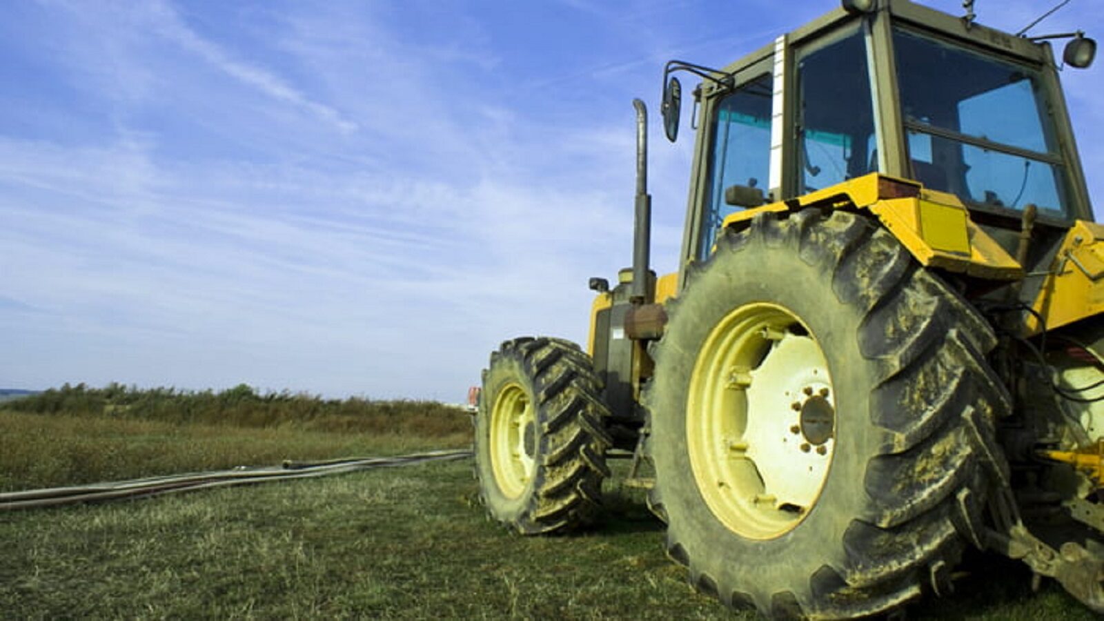 Stanziati Milioni Di Euro Per L Agricoltura Pubblicati Gli