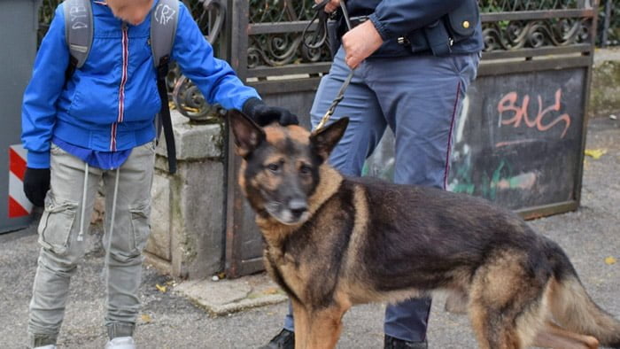 Polizia controllo studenti cane 1