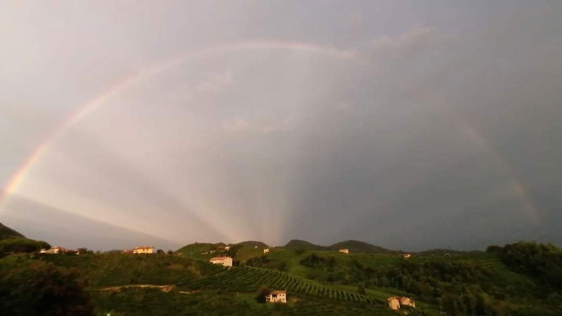 valdo arcobaleno 2