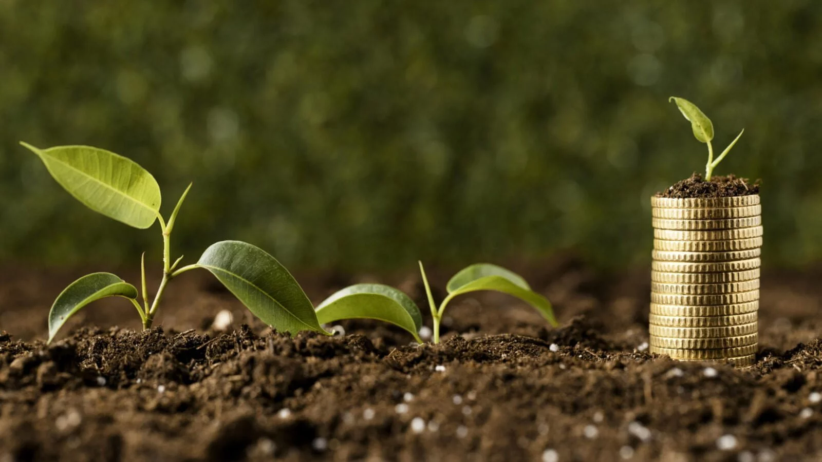 Economia circolare agricola