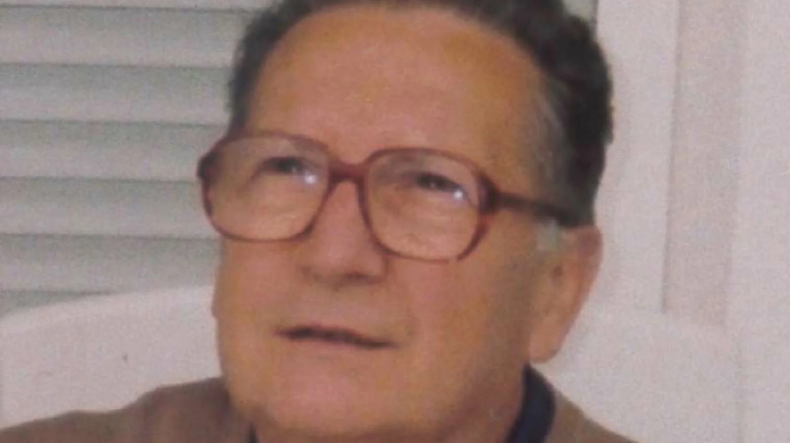 Il professor Mario Menegazzi