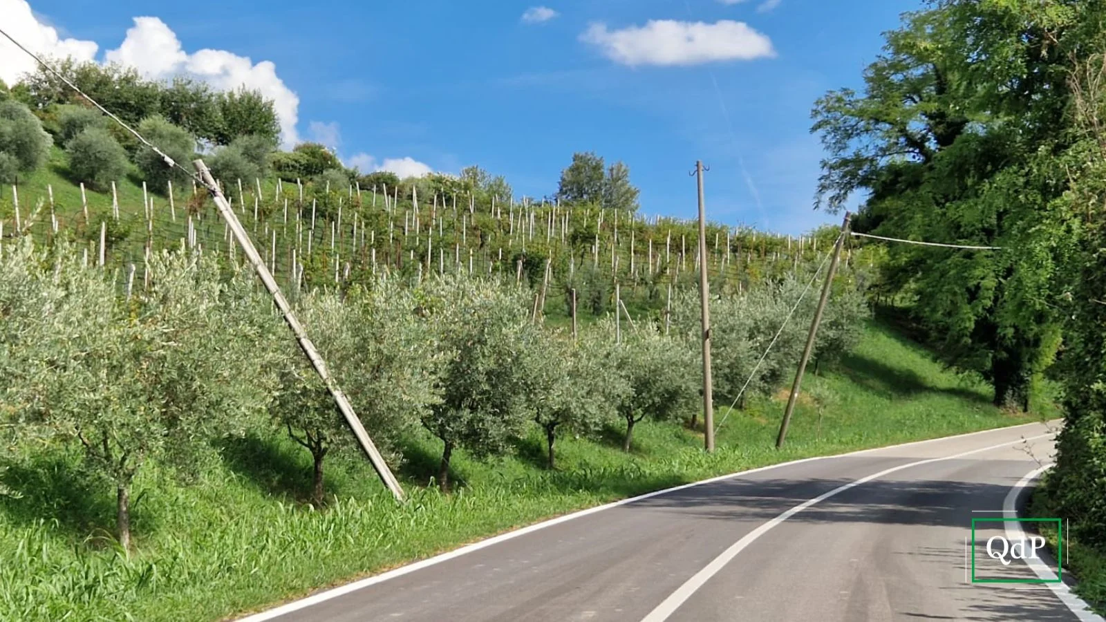 Ancora danni dal maltempo: pali della luce danneggiati in via Costa Alta