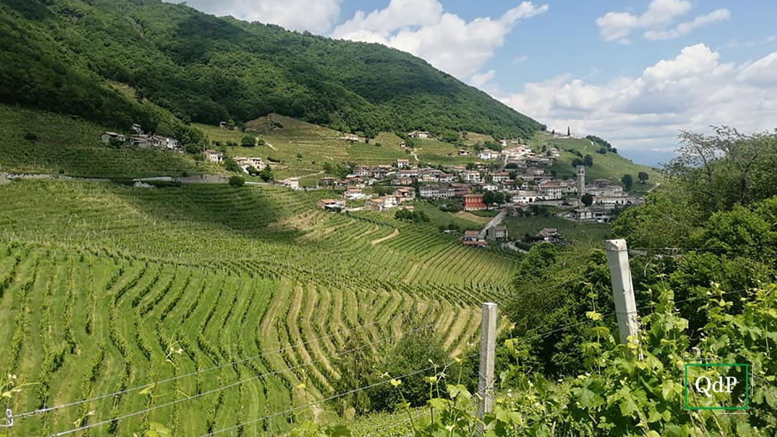 Le colline di Valdobbiadene